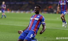 九游娱乐官网-沃尔夫斯堡前锋进球功臣，球队取胜的关键人物的简单介绍