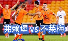 沃尔夫斯堡客场击败弗赖堡，积分榜上升的简单介绍