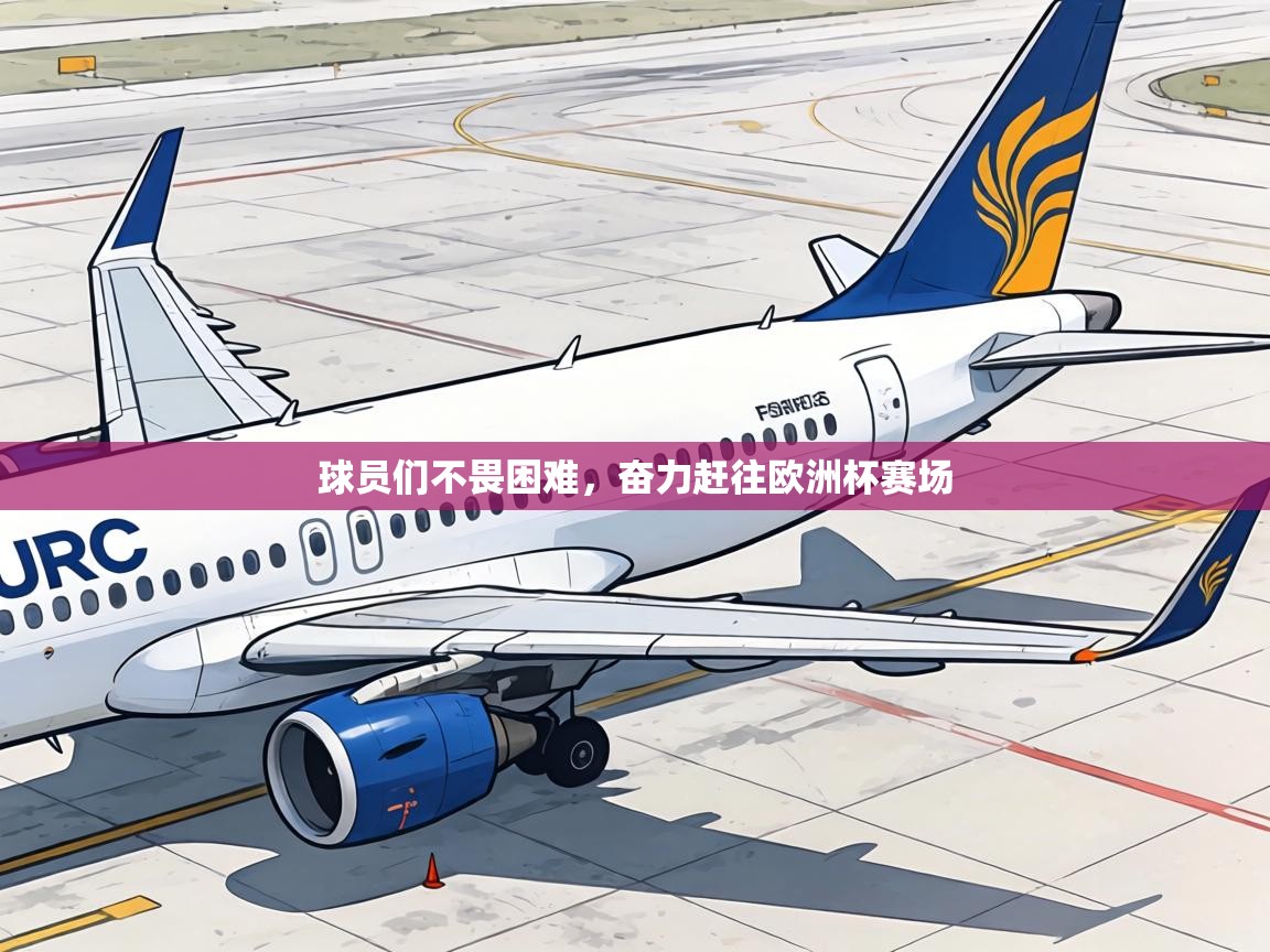 球员们不畏困难,奋力赶往欧洲杯赛场 第1张